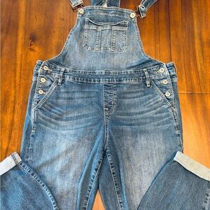 Torrid Straight Women's Blue Denim Overalls